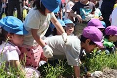 親子で植物栽培